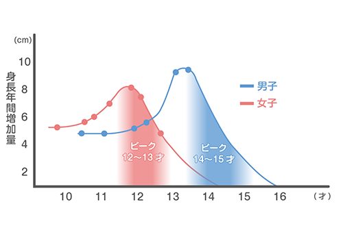 イラスト画像